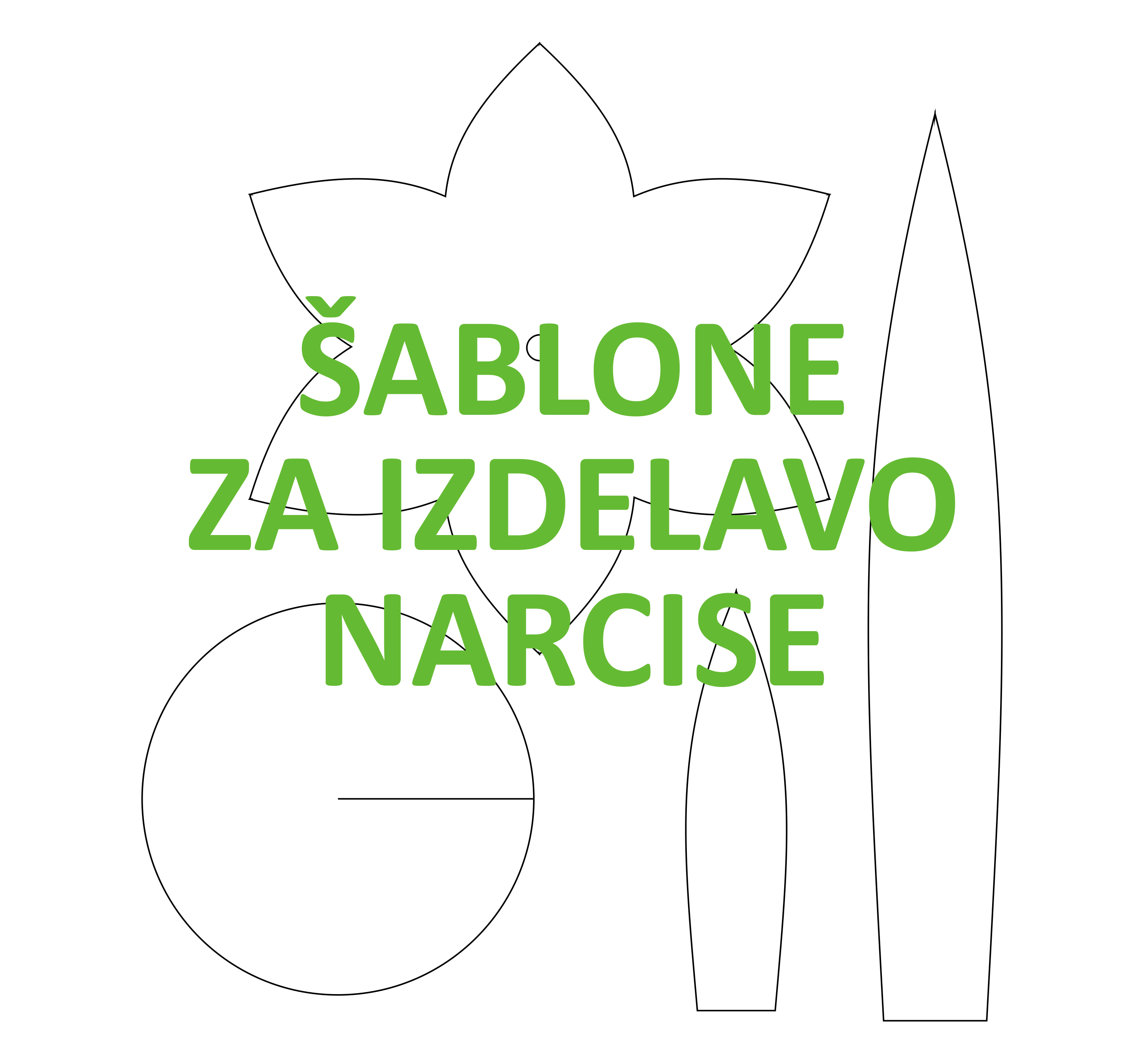Narcisa ŠABLONE